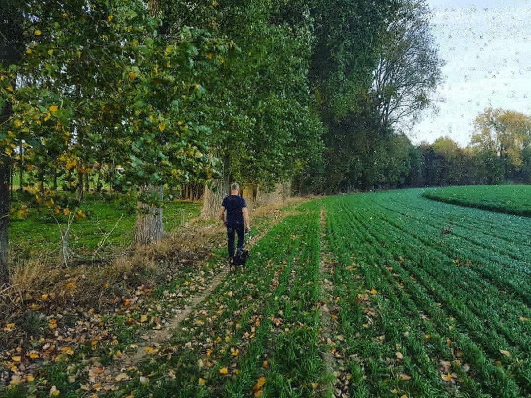 De Goeferdij vakantiewoning Geraardsbergen Buitenkant foto